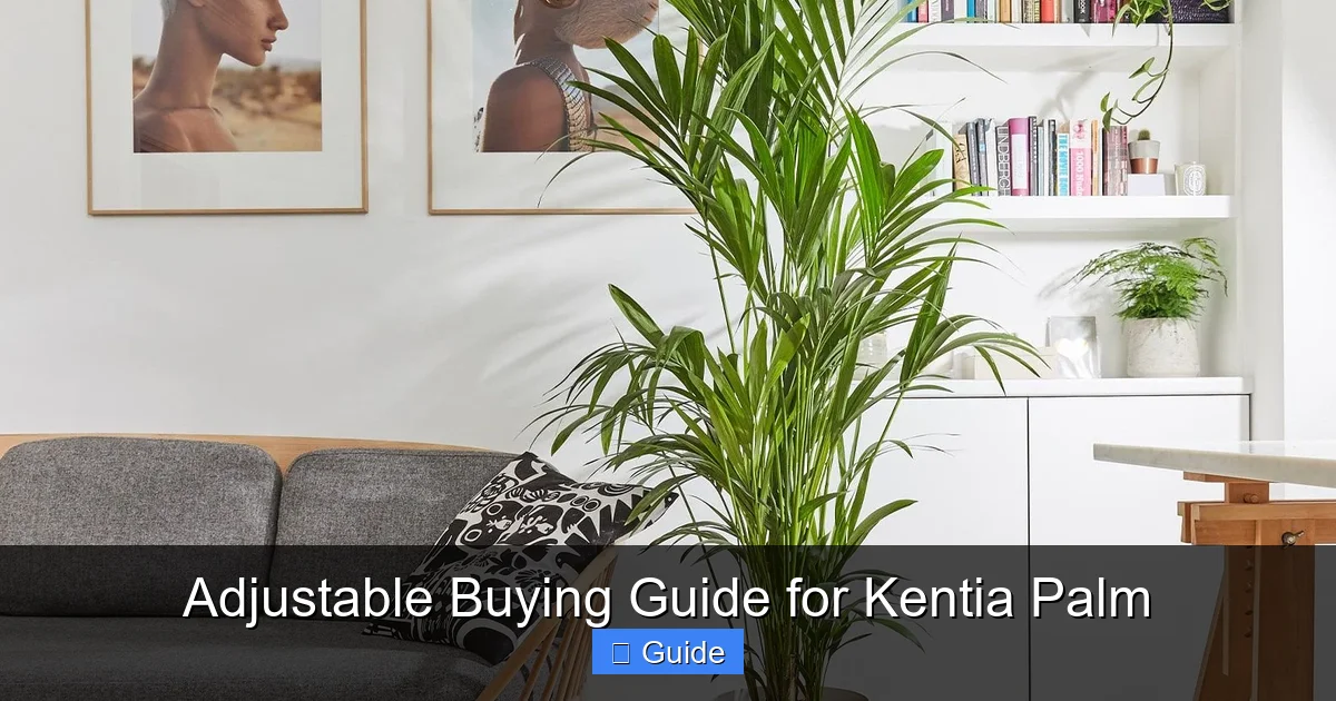 Adjustable Buying Guide for Kentia Palm