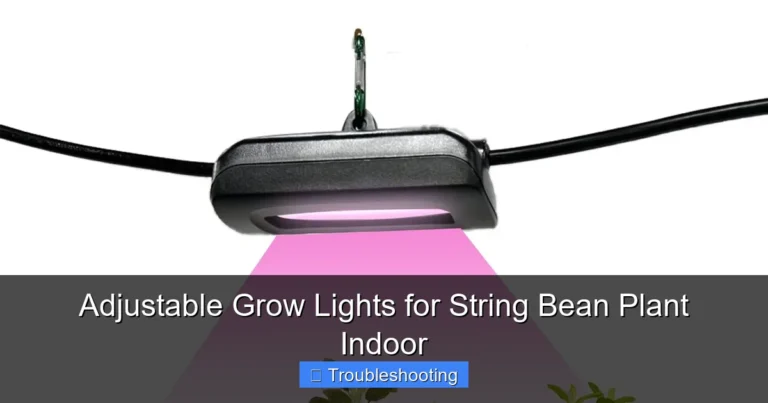 Adjustable Grow Lights for String Bean Plant Indoor
