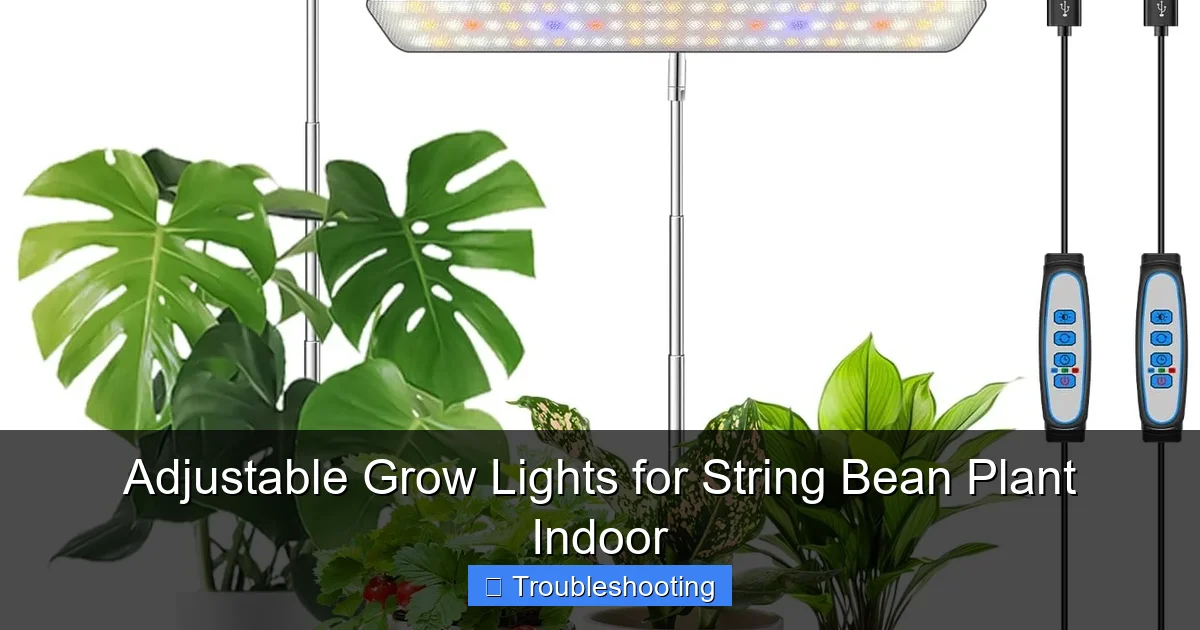 Adjustable Grow Lights for String Bean Plant Indoor