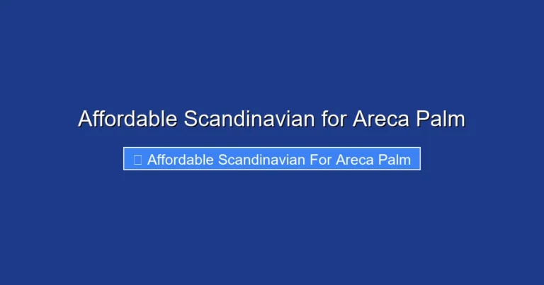Affordable Scandinavian for Areca Palm