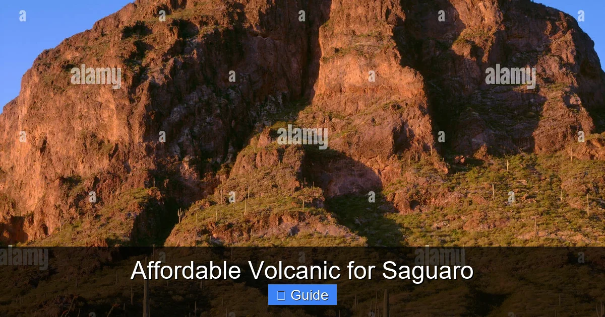Affordable Volcanic for Saguaro
