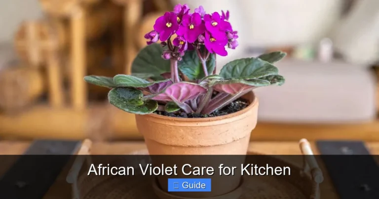 African Violet Care for Kitchen