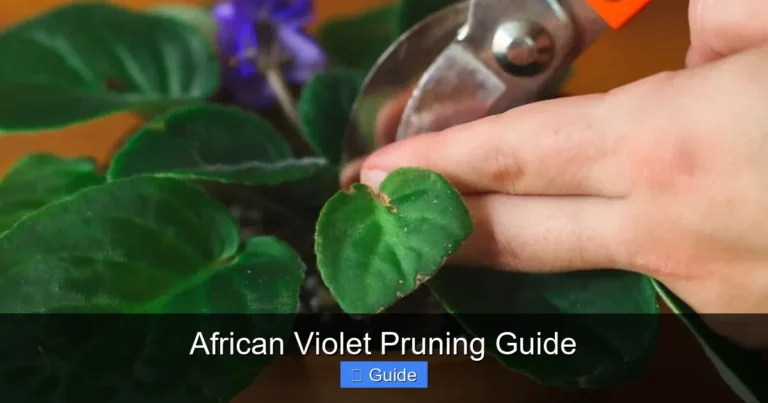 African Violet Pruning Guide