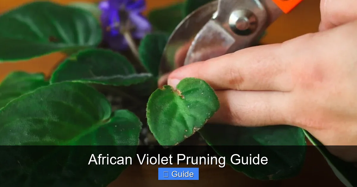 African Violet Pruning Guide