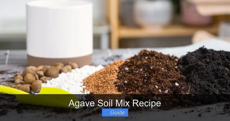 Agave Soil Mix Recipe