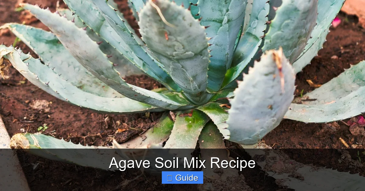 Agave Soil Mix Recipe