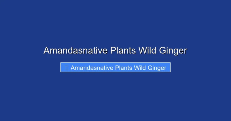 Amandasnative Plants Wild Ginger