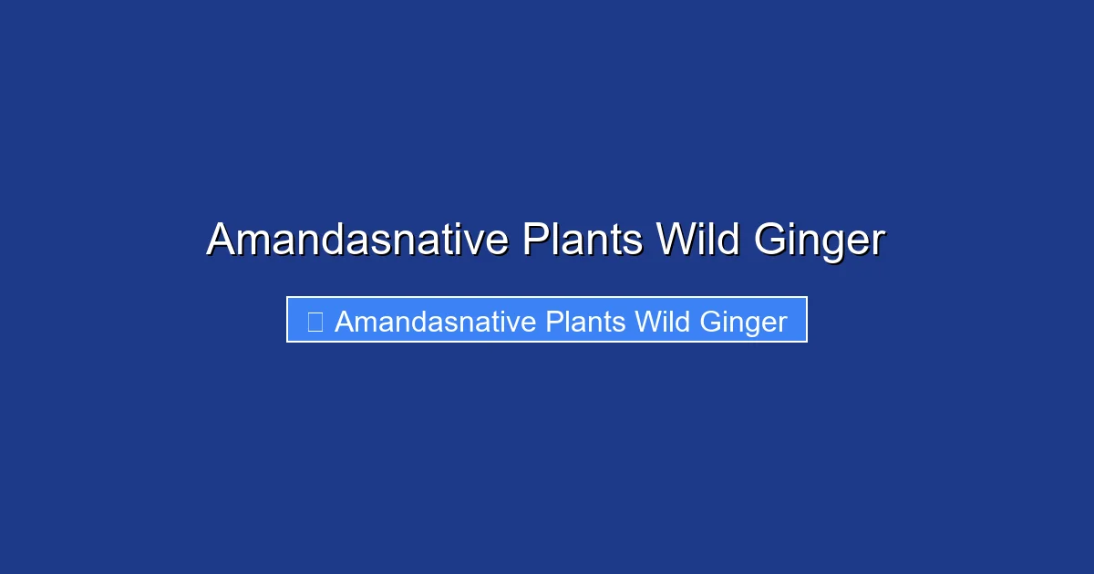 Amandasnative Plants Wild Ginger