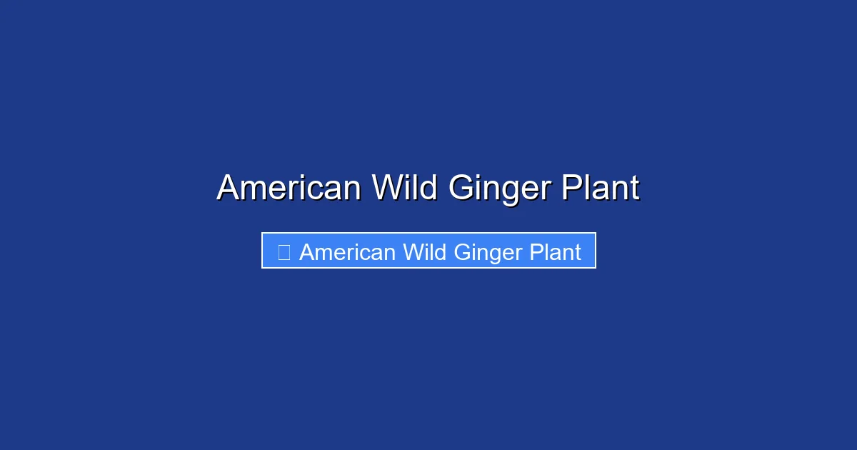 American Wild Ginger Plant