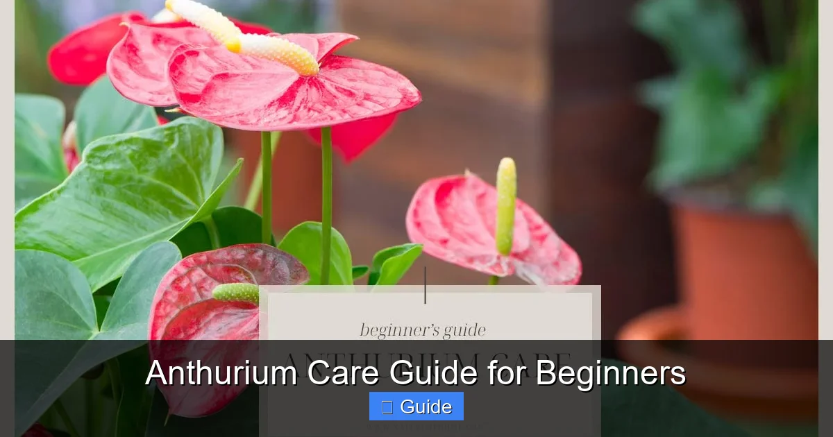 Anthurium Care Guide for Beginners