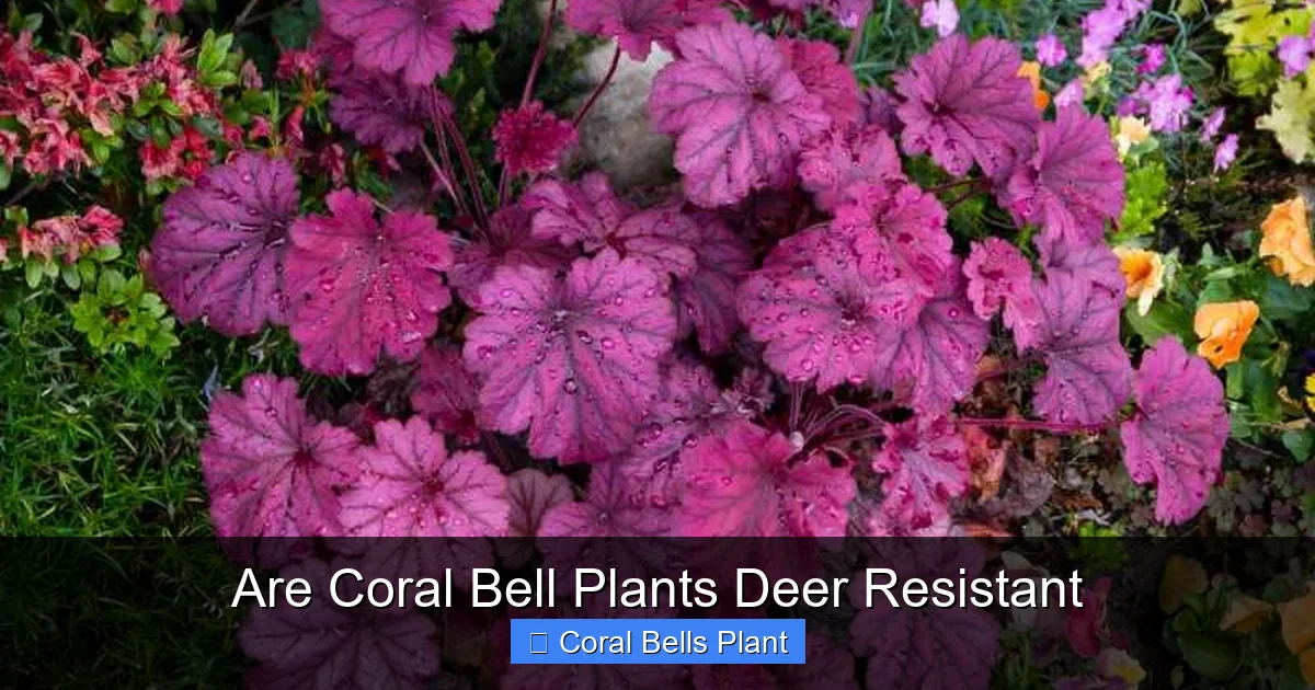 Are Coral Bell Plants Deer Resistant