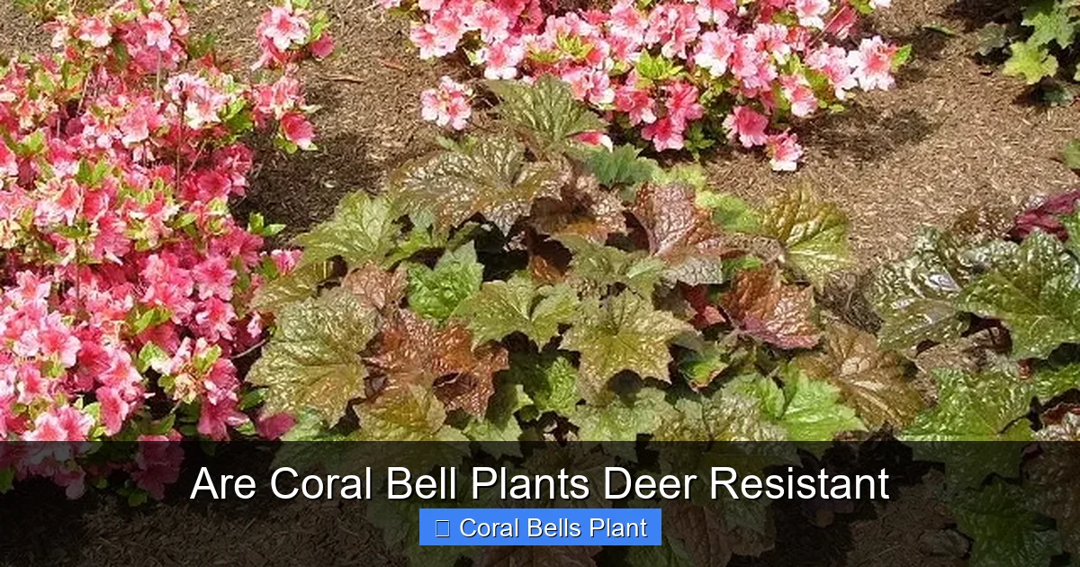 Are Coral Bell Plants Deer Resistant