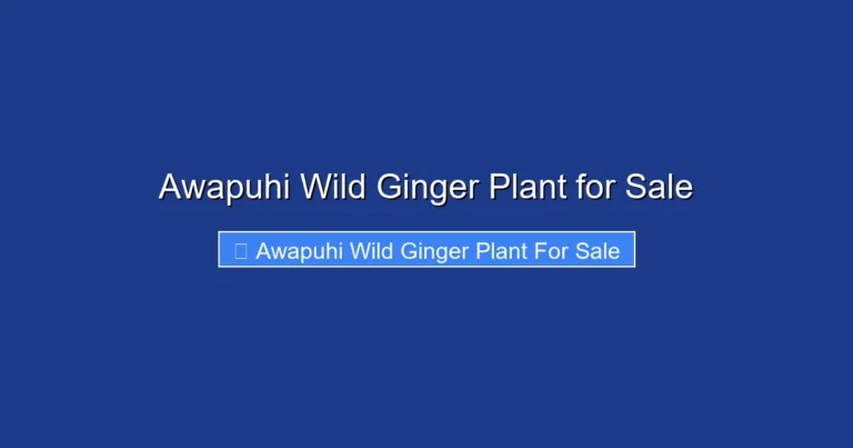 Awapuhi Wild Ginger Plant for Sale