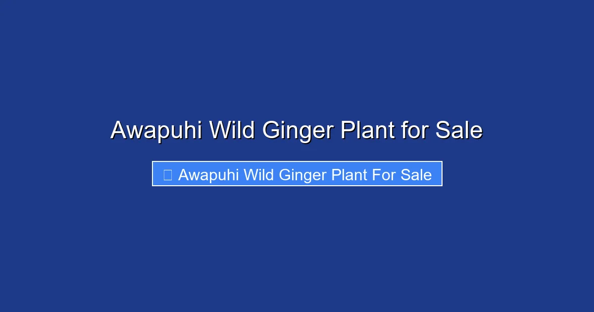 Awapuhi Wild Ginger Plant for Sale