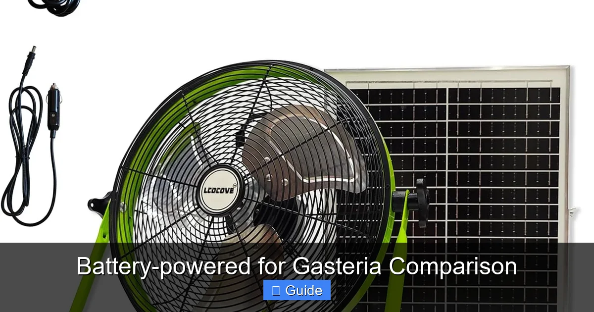 Battery-powered for Gasteria Comparison