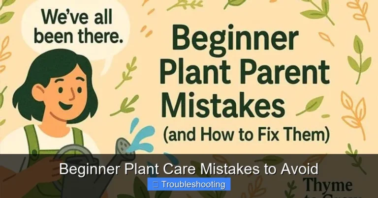 Beginner Plant Care Mistakes to Avoid