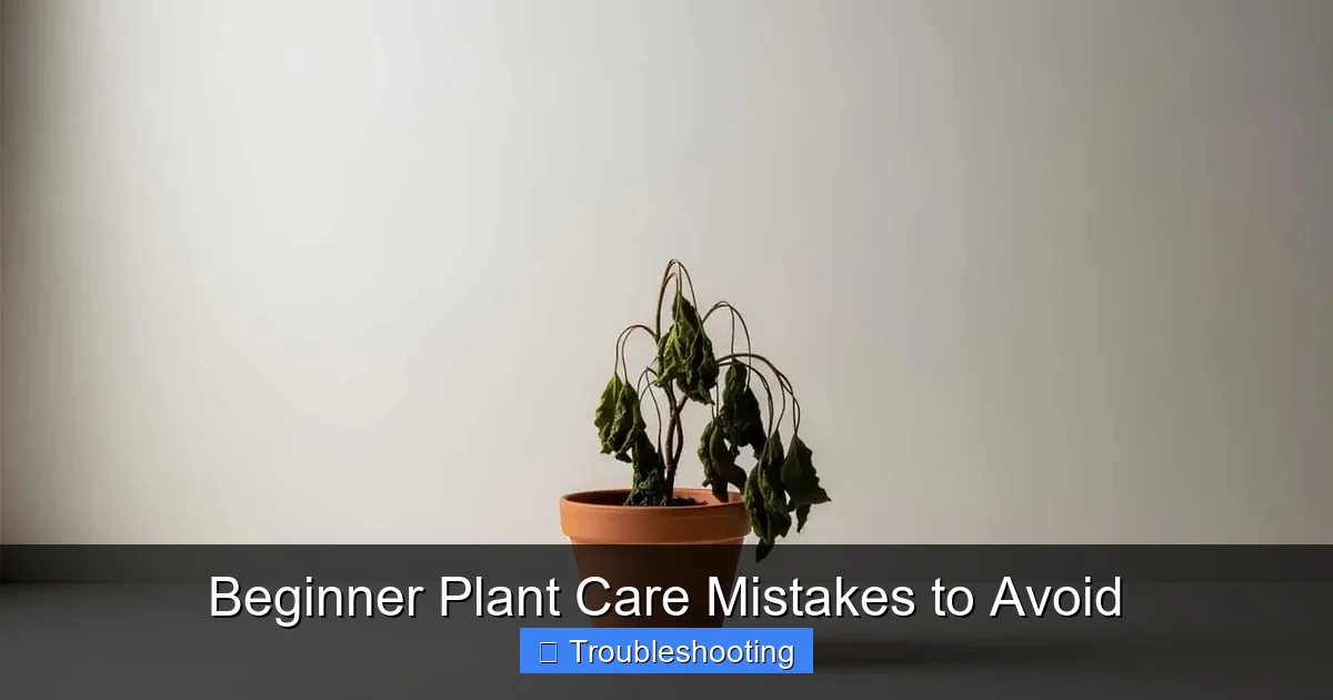 Beginner Plant Care Mistakes to Avoid