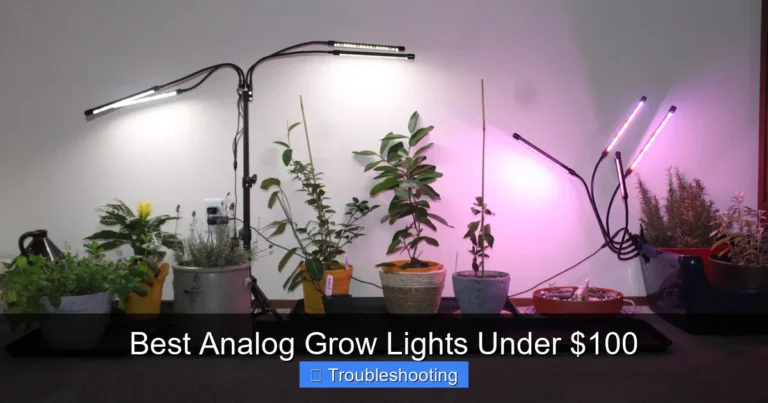 Best Analog Grow Lights Under $100