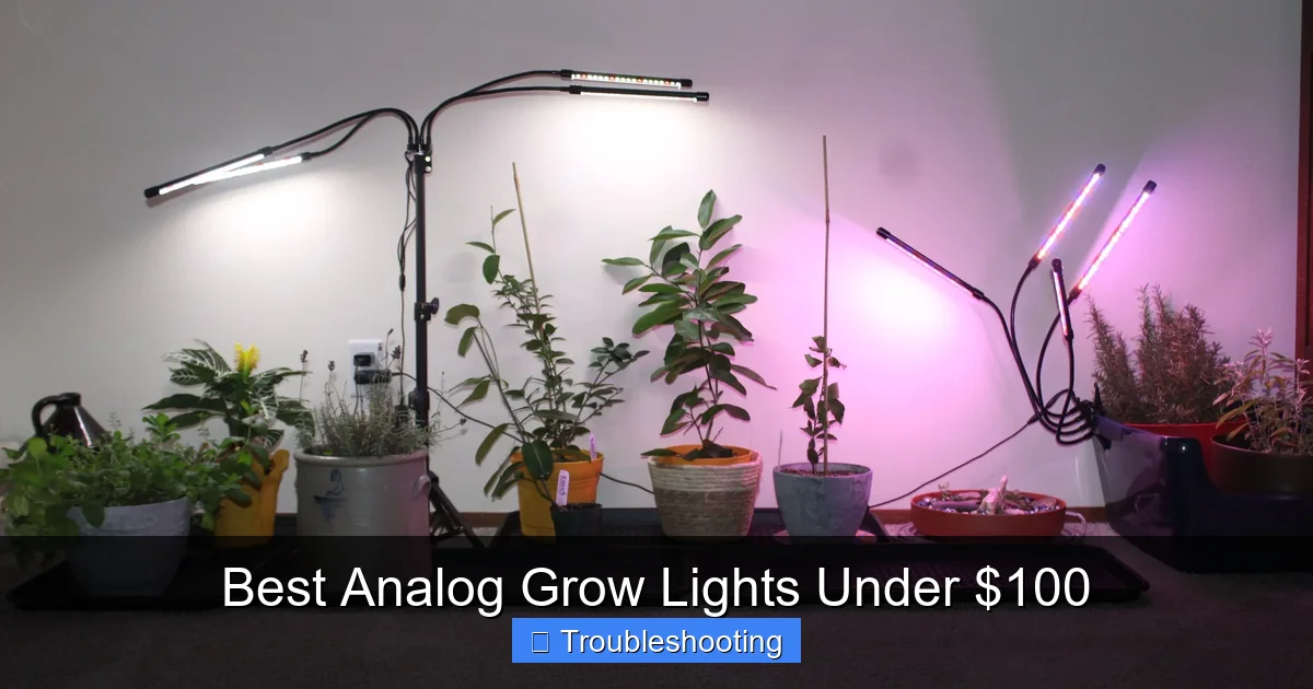Best Analog Grow Lights Under $100