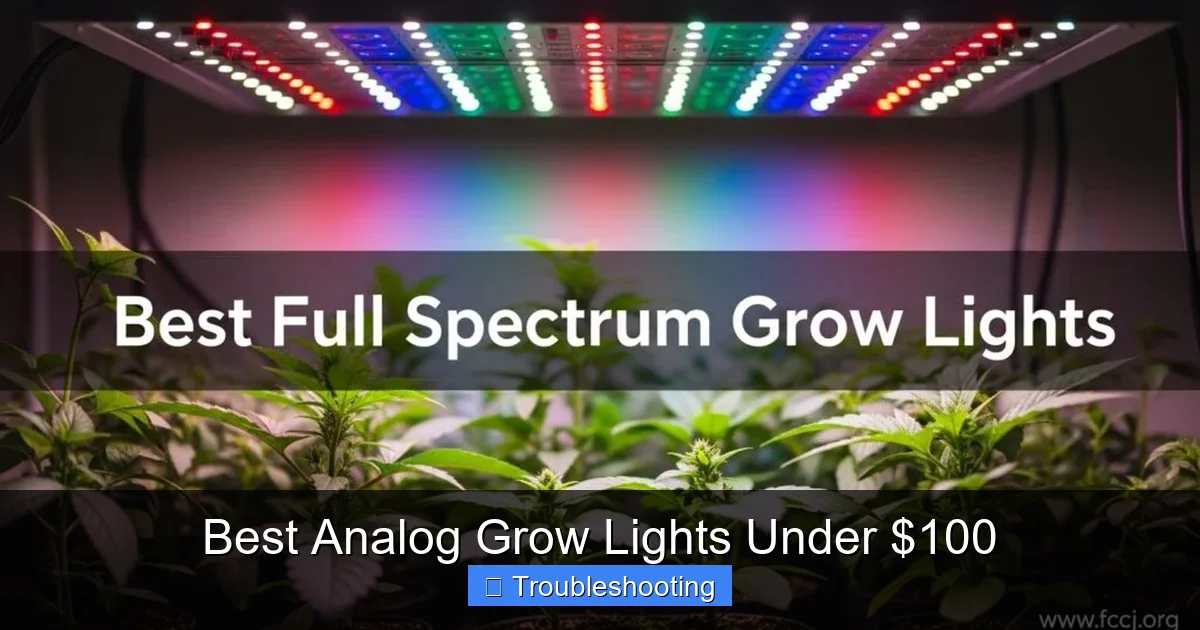 Best Analog Grow Lights Under $100