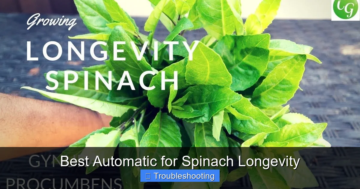 Best Automatic for Spinach Longevity