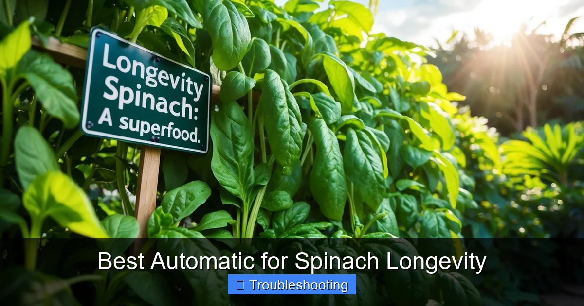 Best Automatic for Spinach Longevity