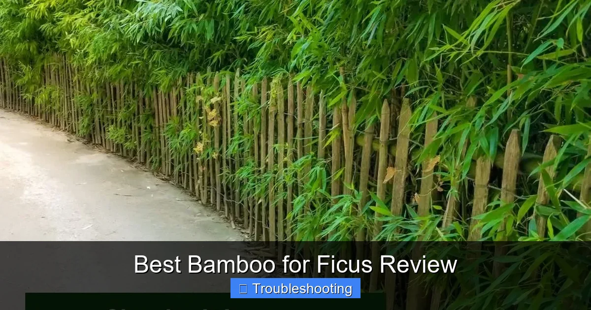 Best Bamboo for Ficus Review