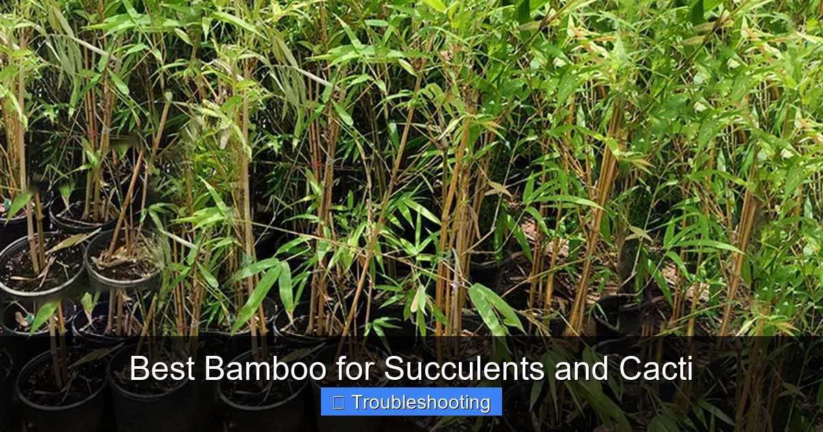 Best Bamboo for Succulents and Cacti