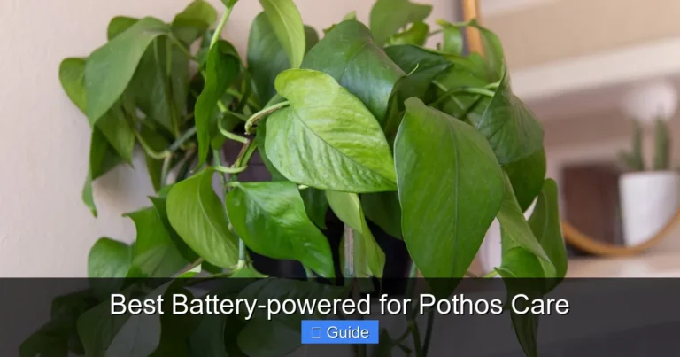 Best Battery-powered for Pothos Care