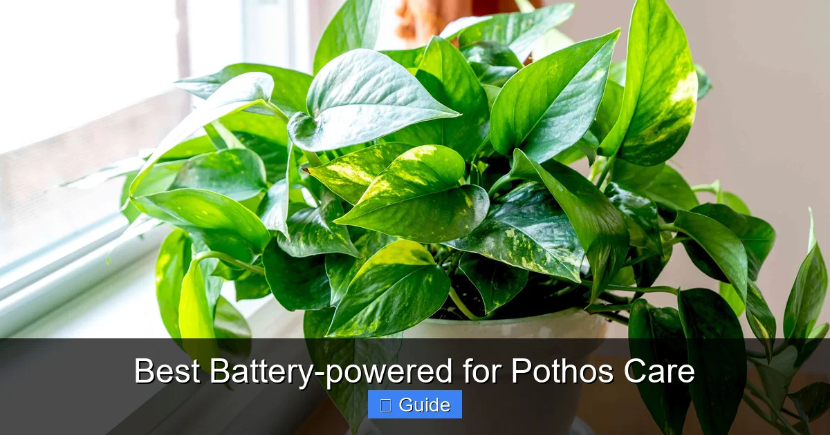 Best Battery-powered for Pothos Care