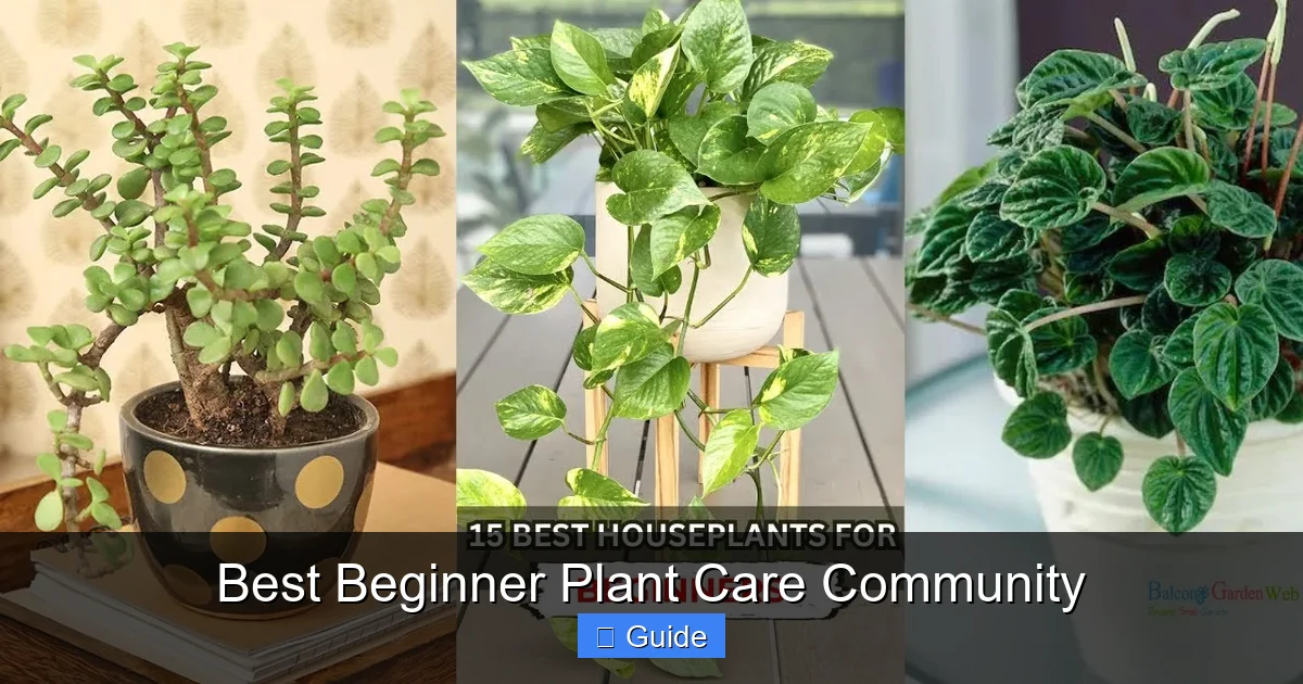 Best Beginner Plant Care Community