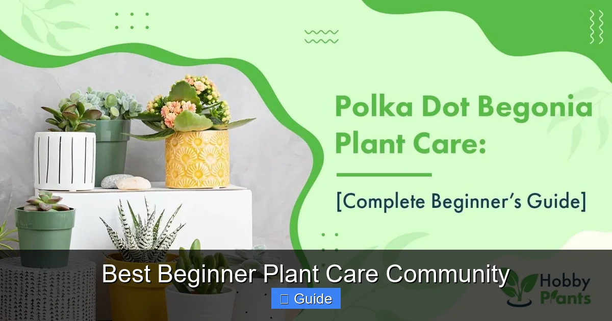 Best Beginner Plant Care Community
