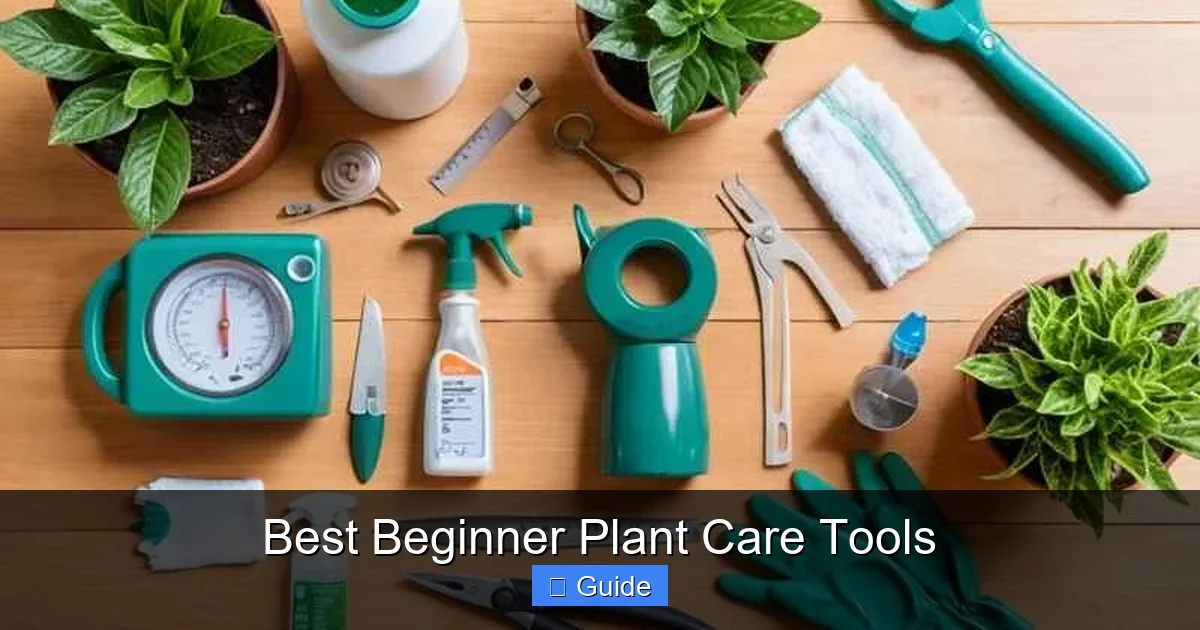 Best Beginner Plant Care Tools