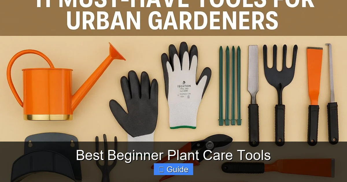 Best Beginner Plant Care Tools