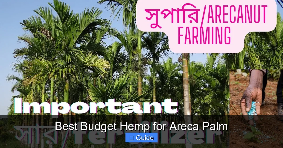 Best Budget Hemp for Areca Palm