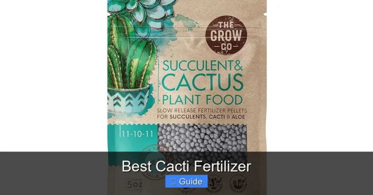 Best Cacti Fertilizer