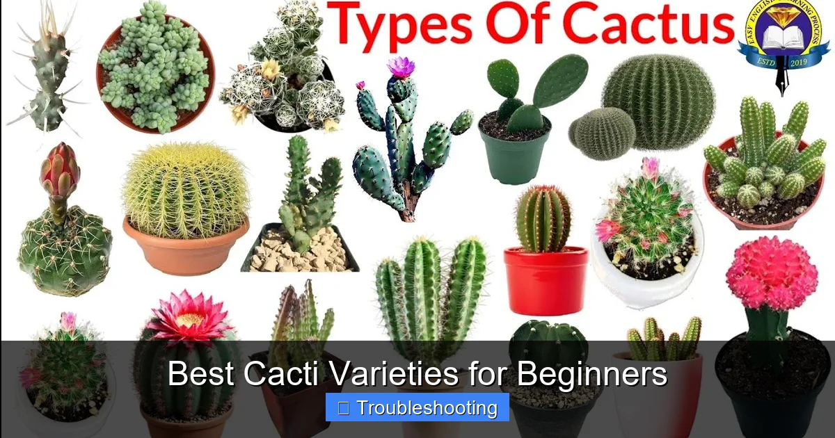 Best Cacti Varieties for Beginners