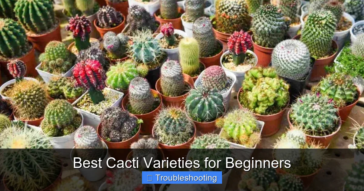 Best Cacti Varieties for Beginners