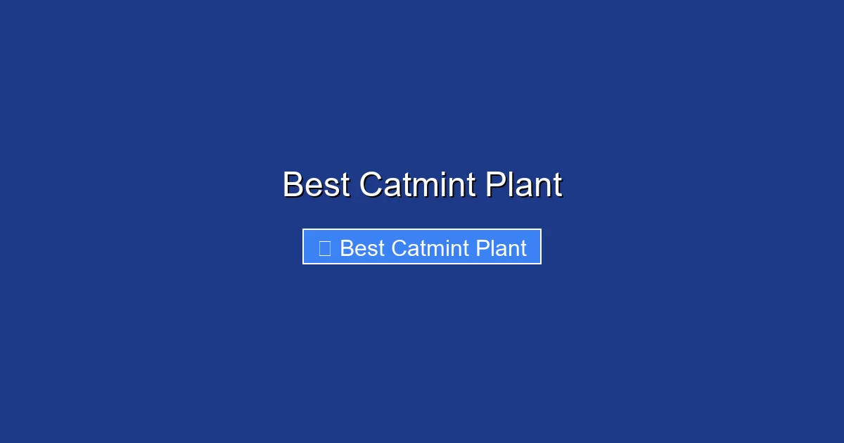 Best Catmint Plant