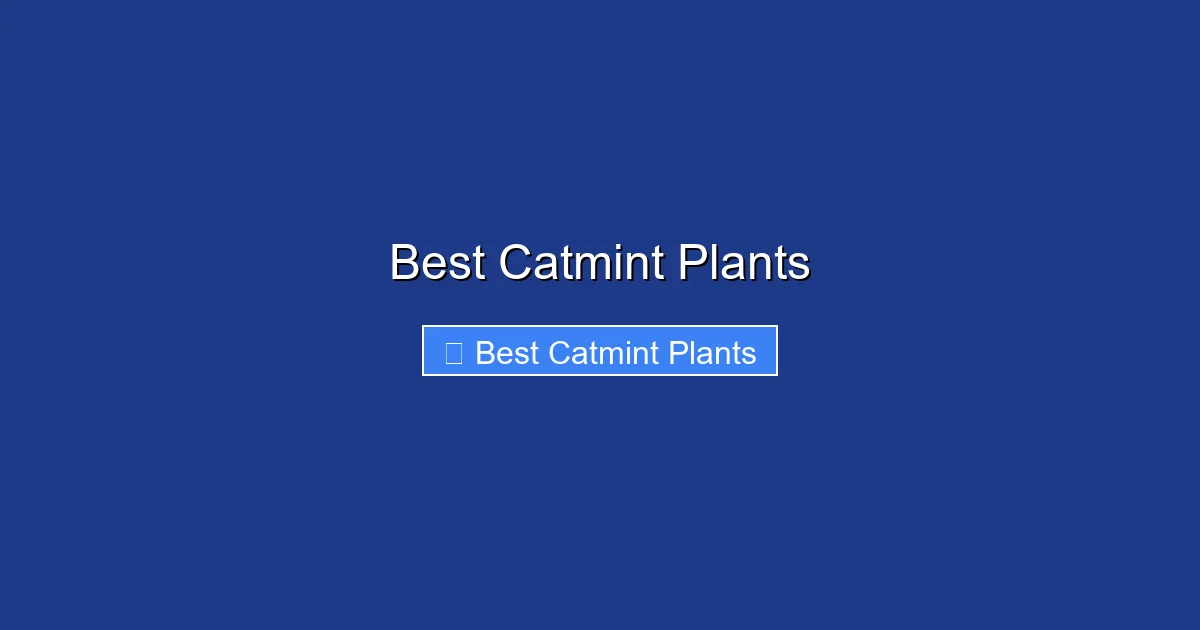Best Catmint Plants