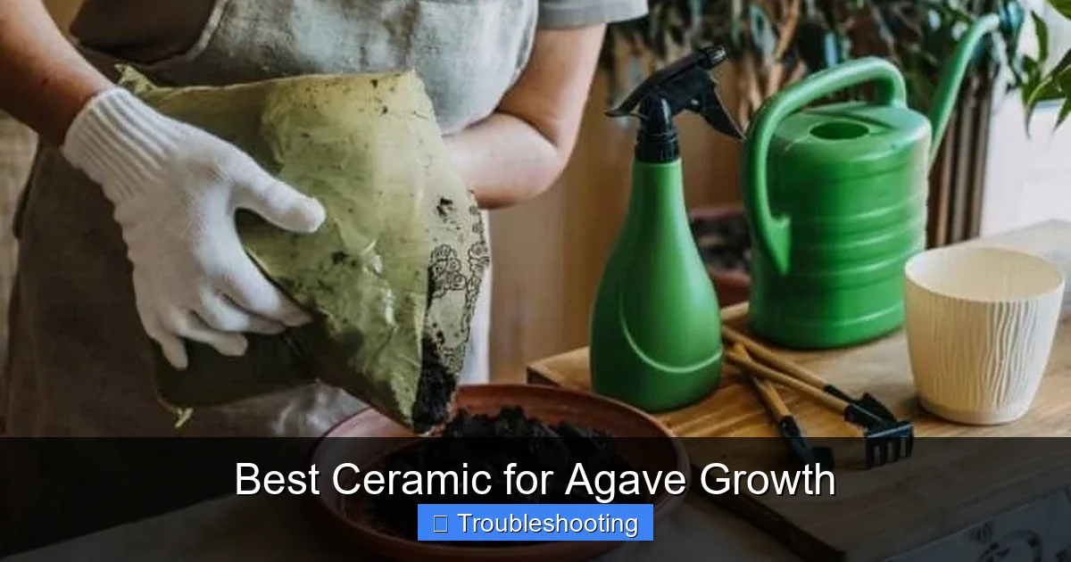 Best Ceramic for Agave Growth