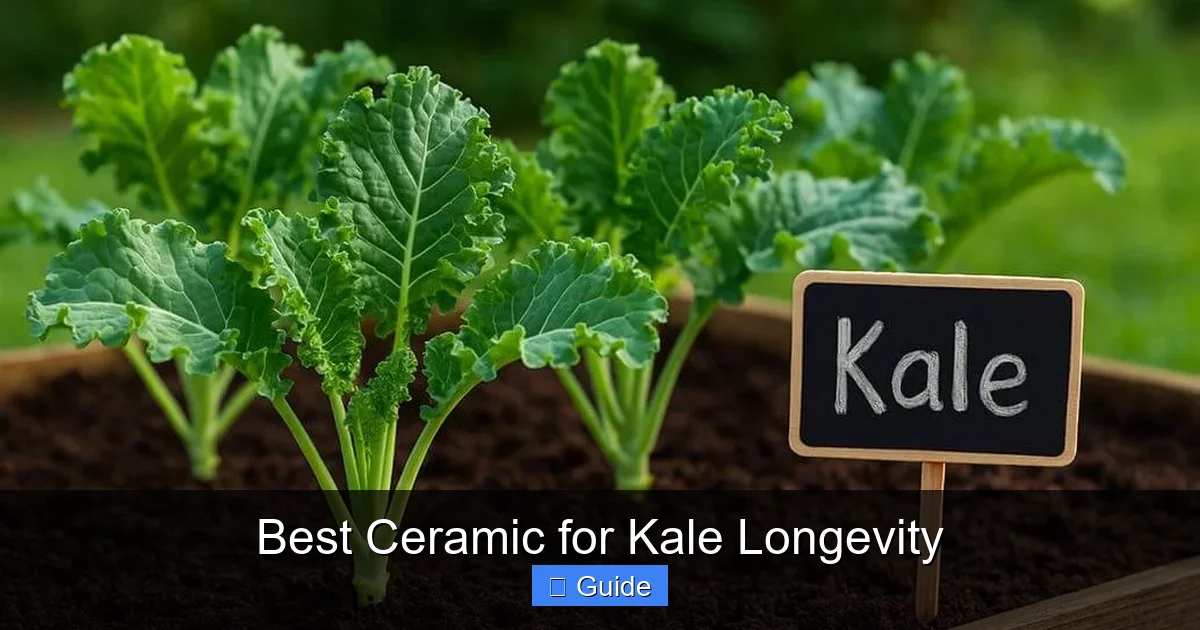 Best Ceramic for Kale Longevity