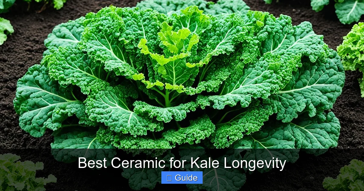 Best Ceramic for Kale Longevity