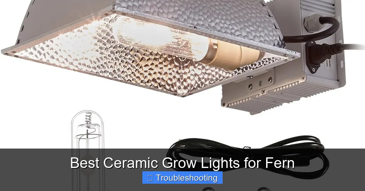 Best Ceramic Grow Lights for Fern