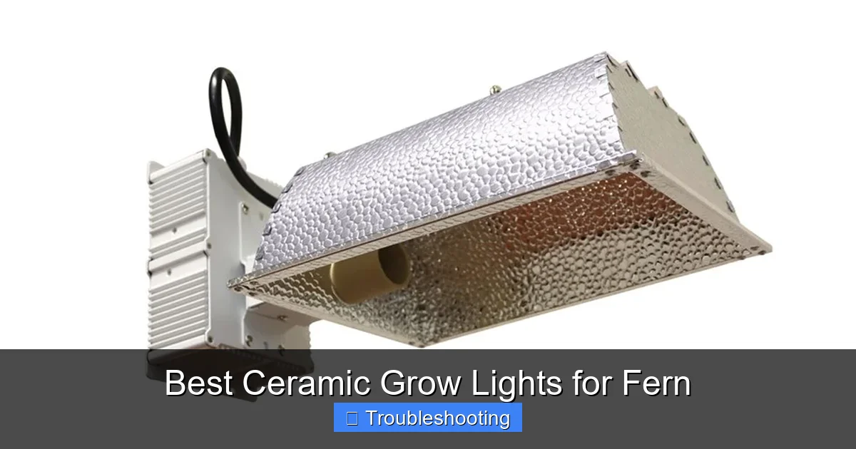 Best Ceramic Grow Lights for Fern