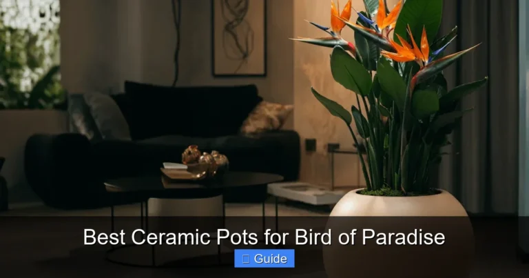 Best Ceramic Pots for Bird of Paradise