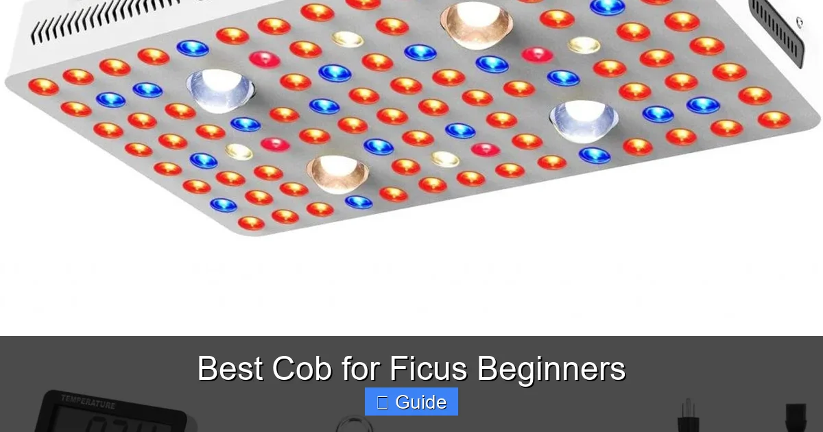 Best Cob for Ficus Beginners