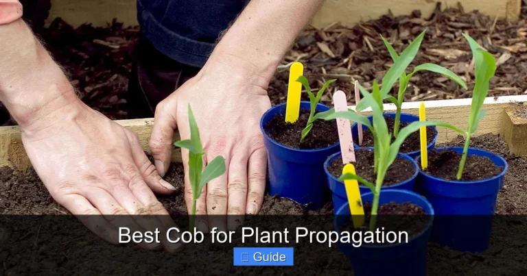 Best Cob for Plant Propagation
