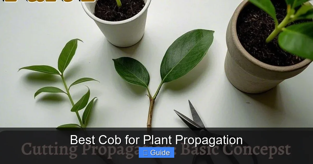 Best Cob for Plant Propagation