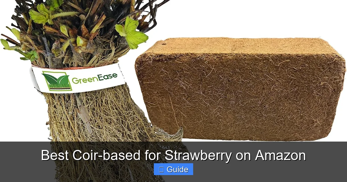 Best Coir-based for Strawberry on Amazon
